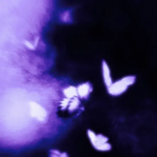 Dreamlike purple butterflies