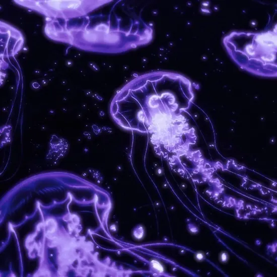 Luminous violet jellyfish
