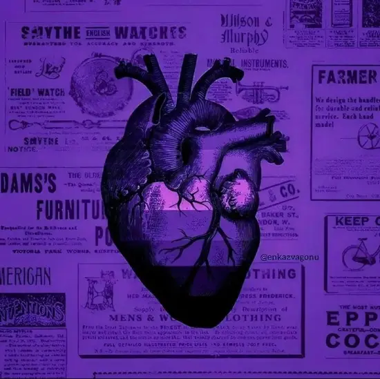 An anatomical heart on purple newspaper